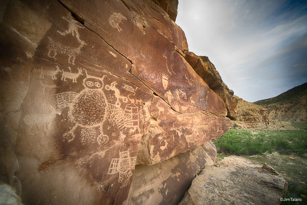 Nativescapes